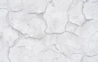 Импульс 2398-04
