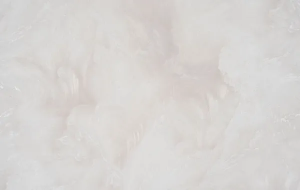Небосвод 1635-05