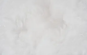 Небосвод 1635